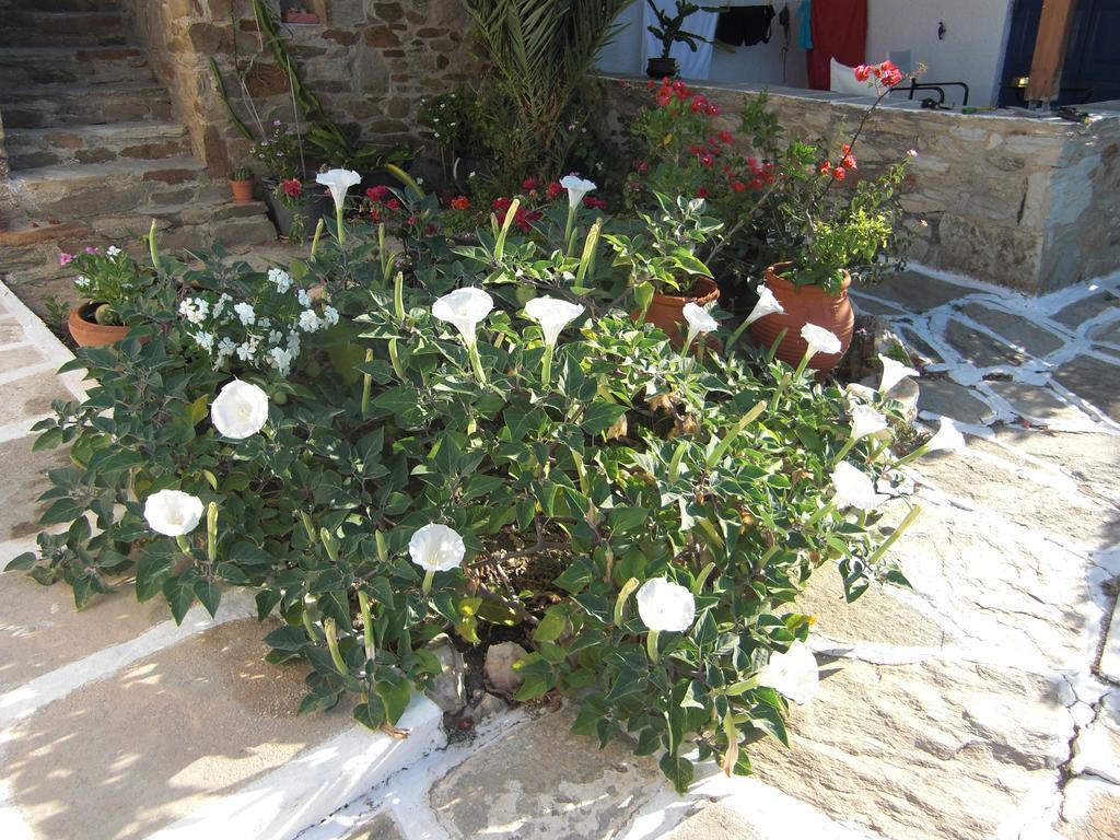 מילופוטאס Eva Villa מראה חיצוני תמונה